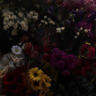 炭素さんのアイコン画像