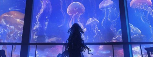 #　　　流亜　。さんの壁紙画像