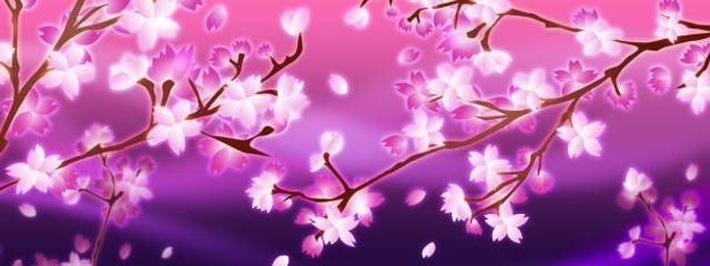 海咲さんの壁紙画像