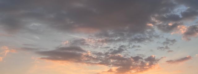 アポろ🍓🍫🫧さんの壁紙画像