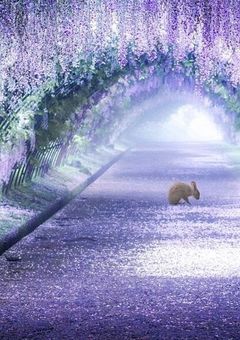 サヨナラの君に贈る