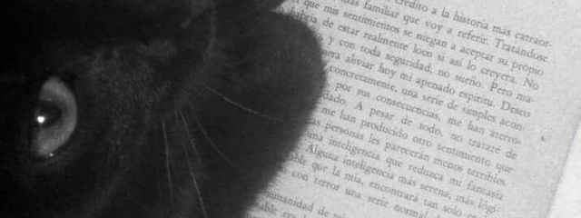 舞彩華さんの壁紙画像