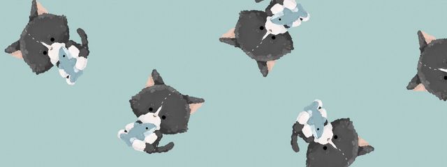 すーちゃん🖤‪✝︎🩹さんの壁紙画像