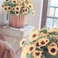 ななさんのアイコン画像