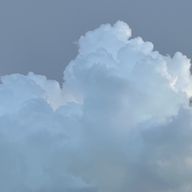 どっちゃんさんのアイコン画像