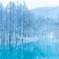 Aice*さんのアイコン画像