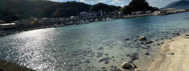 まりもさんの壁紙画像