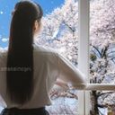 樹