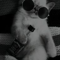 あんころ餅さんのアイコン画像