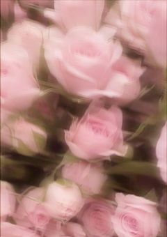 ♡⃛雑談部屋♡⃛