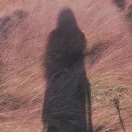 ありさんのアイコン画像