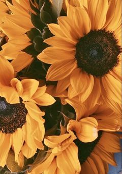 君は僕のお友達