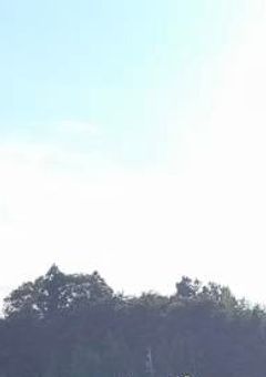 なんで私がこんな思いしなくちゃいけないの…