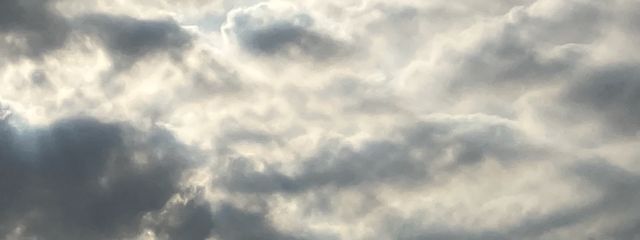 のり弁さんの壁紙画像