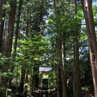 棗さんのアイコン画像