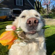 mraさんのアイコン画像