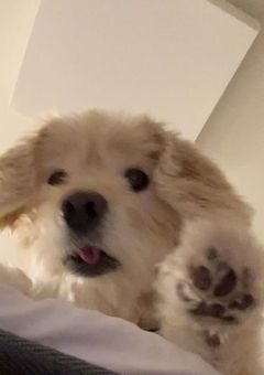 s_