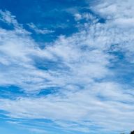 風の噂さんのアイコン画像