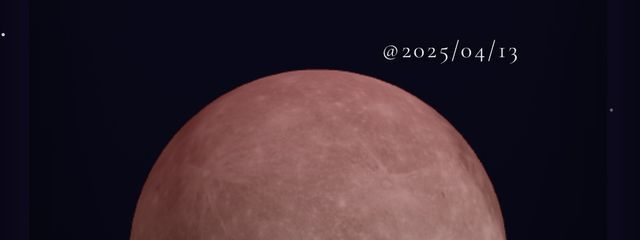 ねね@てーふさんの壁紙画像