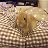 JURIRIさんのアイコン画像