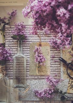 　ʷᵗʳⁱ ” お言葉通りに頂戴します