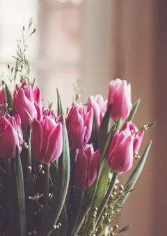 　ˡʳⁿ ” 偽愛利害関係