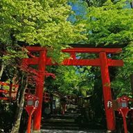 だから危機感を持てさんのアイコン画像