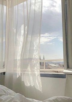 嫌いなモノ