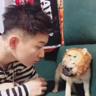 あいか🇰🇷  ♡へきトラ♡さんのアイコン画像