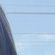 ふくまるさんのアイコン画像