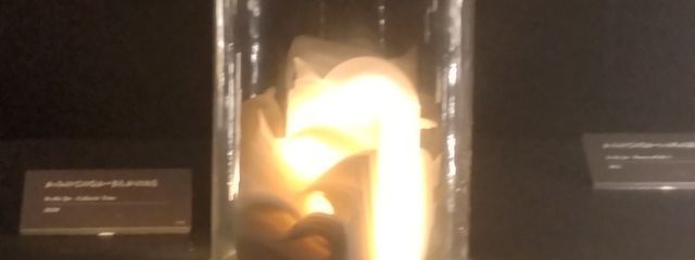 きいこんごん💜🍼🎮＠更新停止中さんの壁紙画像