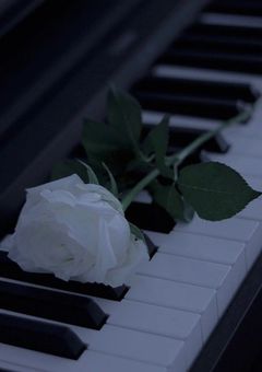 行事   ＿   初期メン