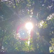 翼さんのアイコン画像