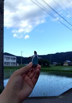 おふざけ、NG集