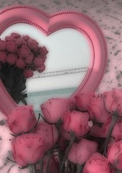 高嶺の花は知っている