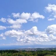 ひなさんのアイコン画像