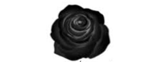 蒼唯㌨🦕@暴力少女さんの壁紙画像