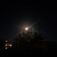 人形さんのアイコン画像