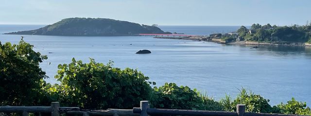 ちさ@鳥好き #えんぷてぃ教()さんの壁紙画像