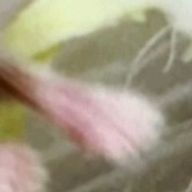🍡🍵おもちもちもちおもちもち🍵🍡さんのアイコン画像