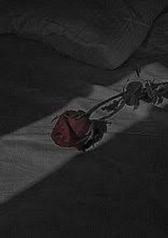    【 sxxn 】ゐ ら な い コ 。