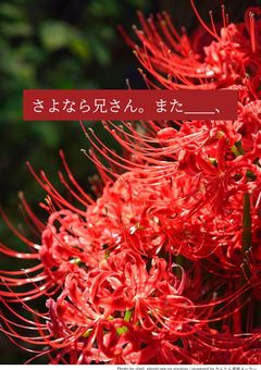 さよなら兄さん。また＿＿、