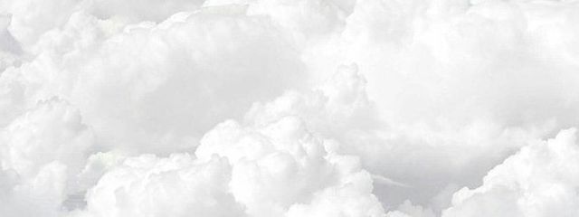 くらげさんの壁紙画像