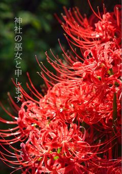 神社の巫女と申します