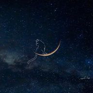 新規Carat🍒🩵さんのアイコン画像