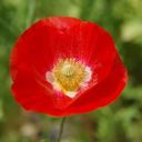 なおきり@俺かっけぇ✨