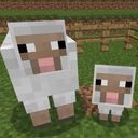 ヒロ@うりさん変態