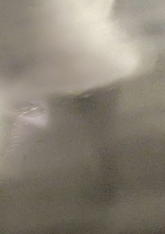 　偶に現れる自我