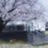 mkdさんのアイコン画像