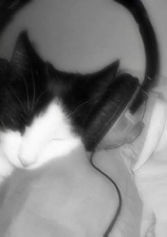 オ ニ ご っ こ  。